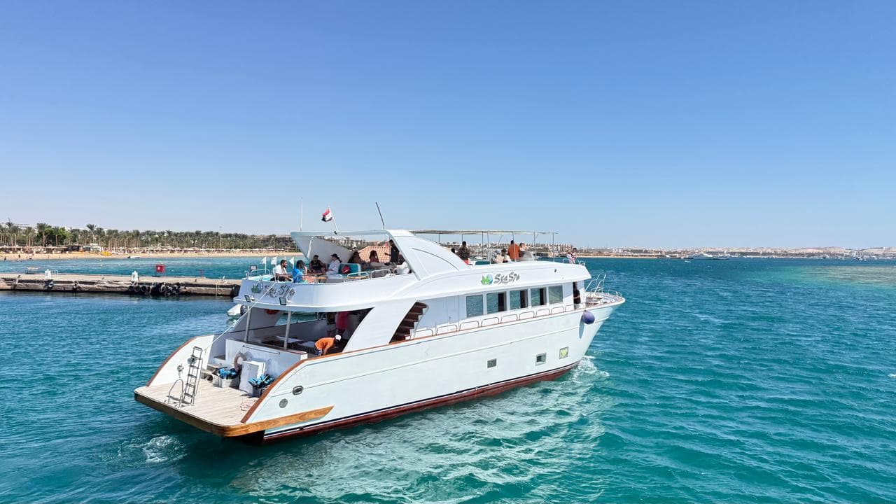 Luxury Cruise to Dolphin House. image 1