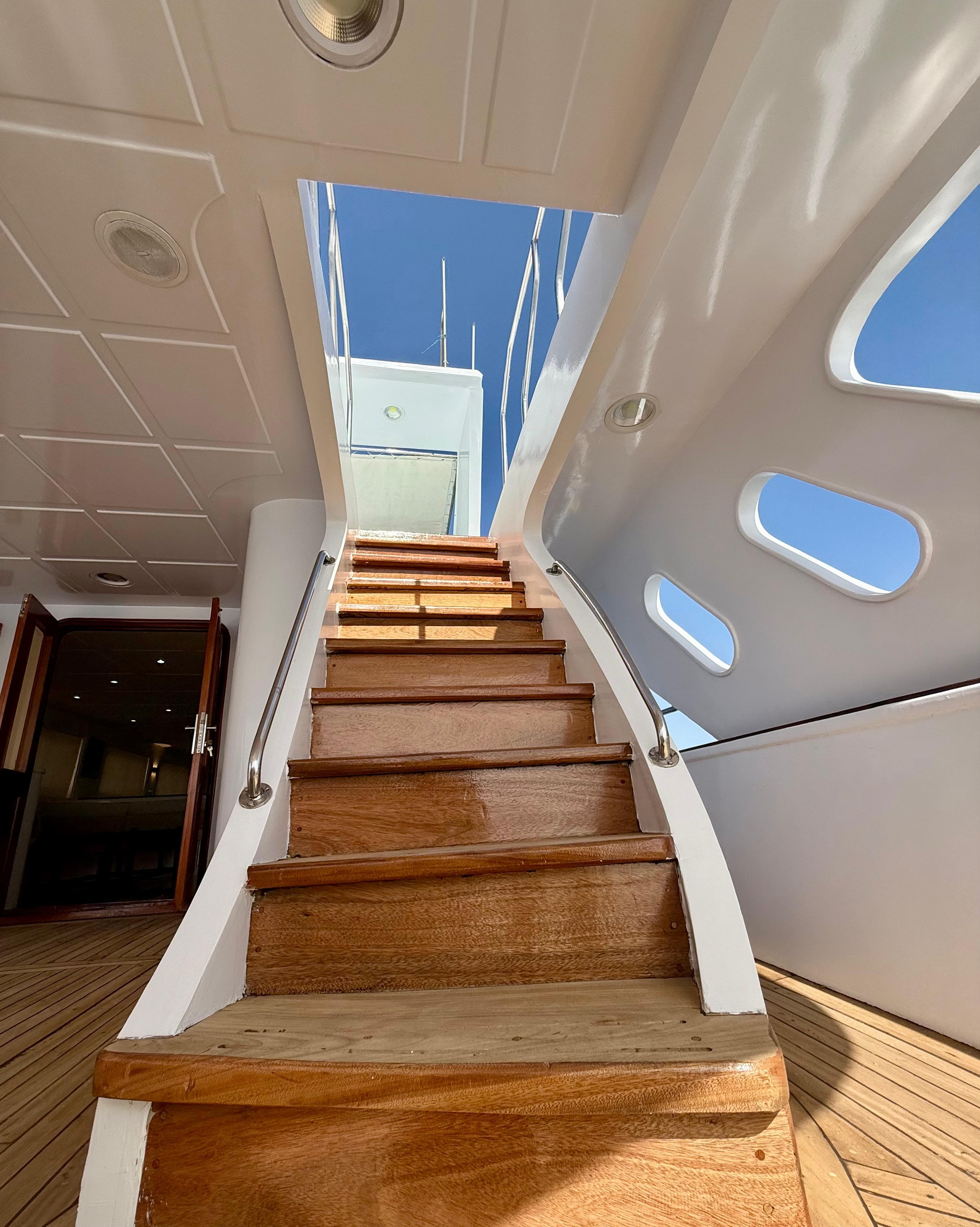 Luxury Cruise to Dolphin House. thumb 8