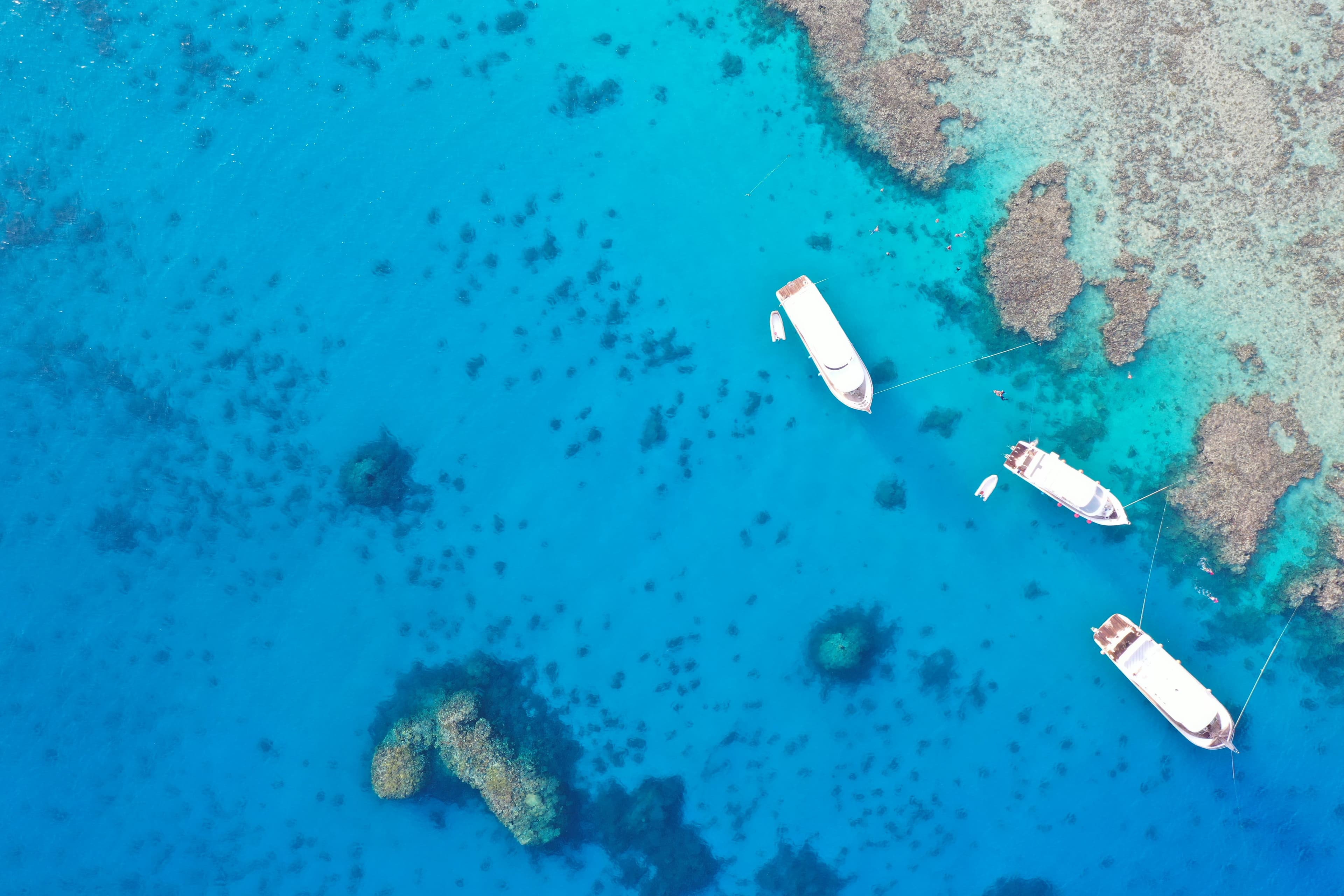 A luxury speed boat cruising through the crystal clear turquoise waters of the Red Sea in Hurghada